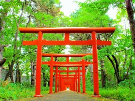 Kyonoya Fushimi Inari Villa Kyoto Luaran gambar